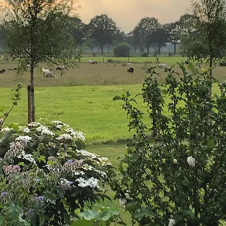 In De Hemmele Bij Maria